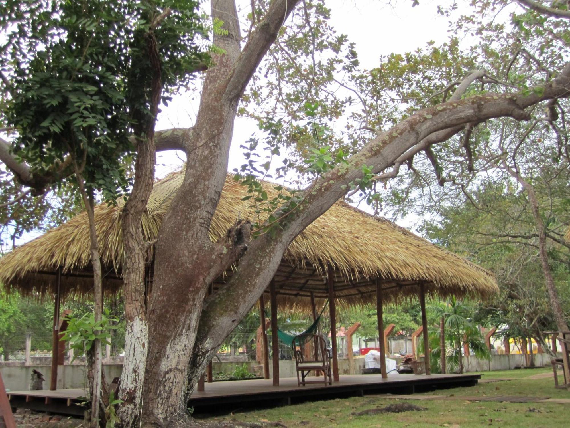 Hostel Pousada Do Tapajos Alter do Chão Exteriér fotografie